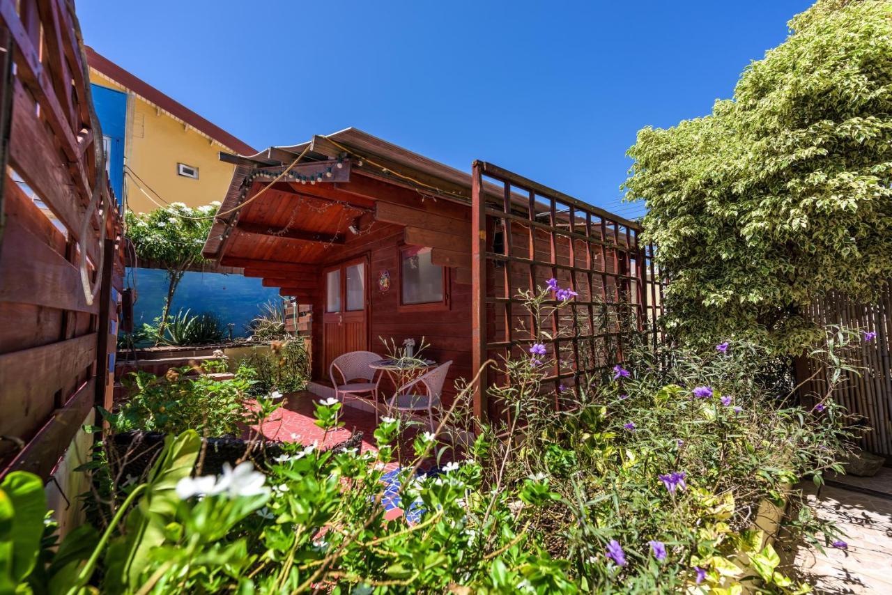 Sunflower Villa Studios 棕榈滩 外观 照片